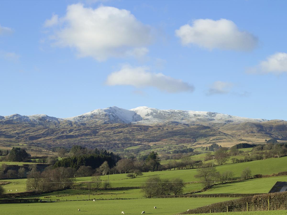 Cyffdy Cottage - Arenig Bala Extérieur photo